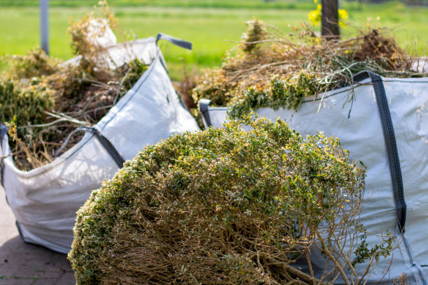 Best Furniture Removal Near Me  in Superior, CO